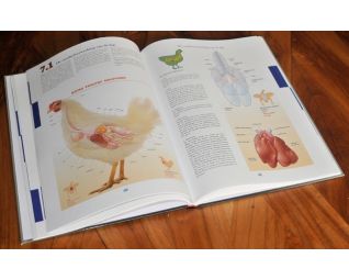 Boek van Hans Ringnalda over kippenziekten