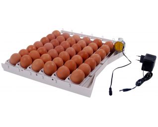 keersysteem 42 eieren
